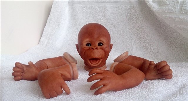 Привет из Африки. Реборн Бинки