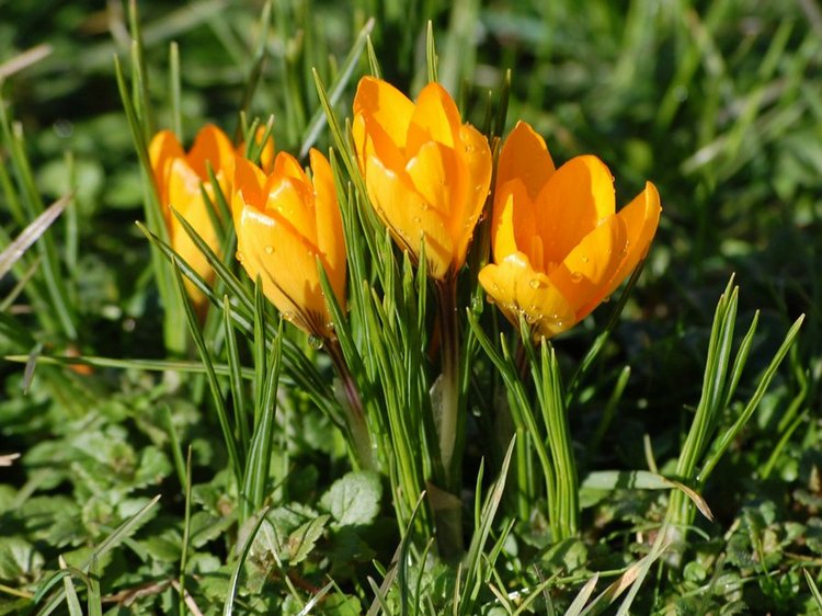 У нас тоже весеннее настроение! Кукла Дианны Эффнер (фото 3)