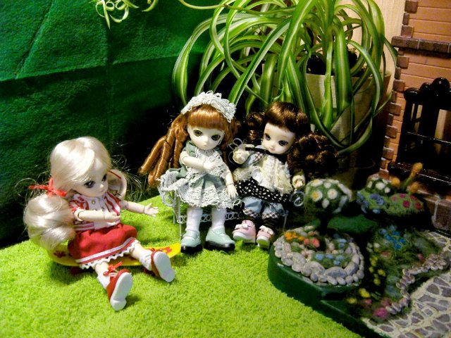 В моем новом домике новоселы