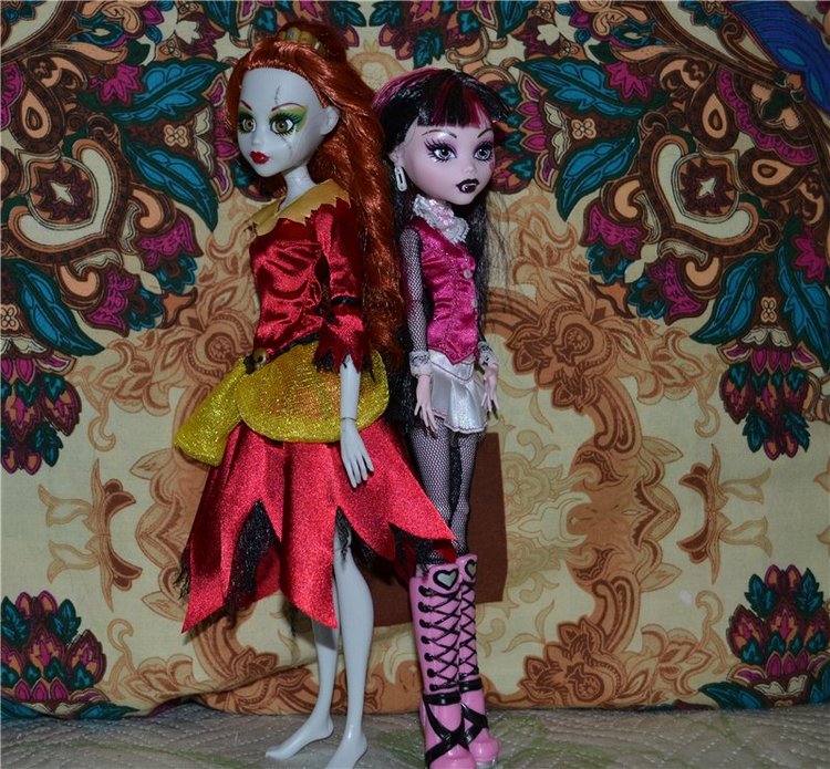 Белль, подружка для Дракулауры (фото 6)