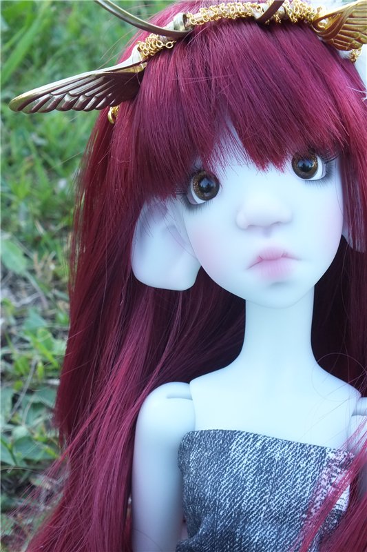 Тоби Принцесса-Воительница из Ётунхейма (фото 9)