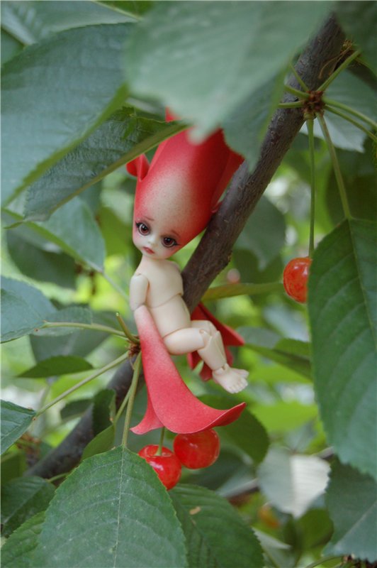 Прогулка по саду Doll zone (фото 10)