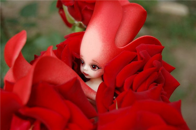 Прогулка по саду Doll zone (фото 4)