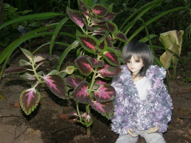 Холодное лето в цветах — Гибридизация кукол BJD (БЖД): пересадка головы