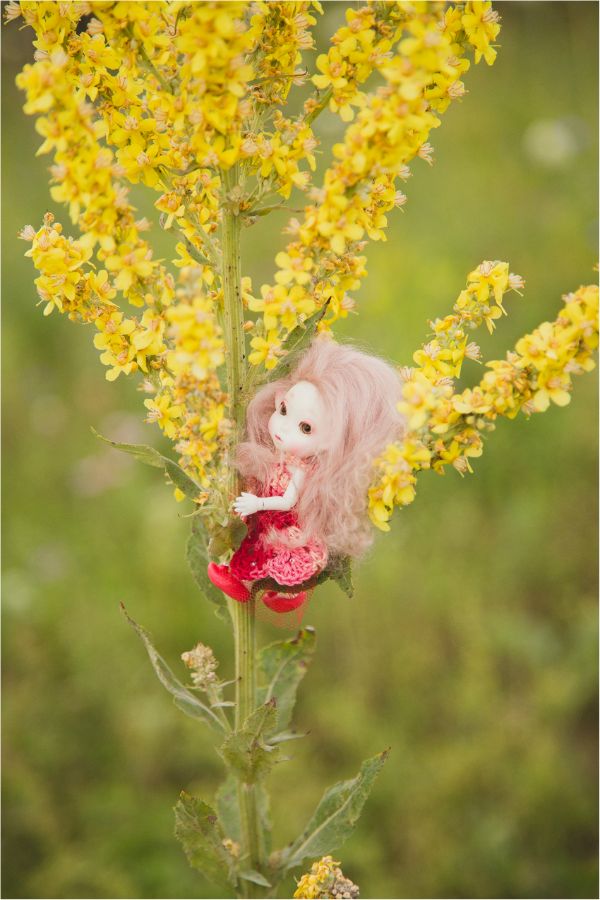 Немного лета на закате — Куклы Peaks Woods (Пиксвудс): BJD (БЖД) (фото 9)