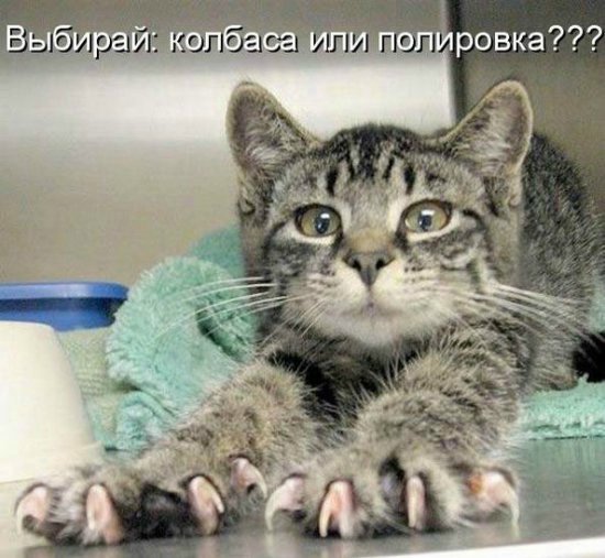 Море позитива) Для поднятия настроения (осторожно! много фото)))) | Бэйбики Море позитива) Для поднятия настроения (осторожно! много фото))))