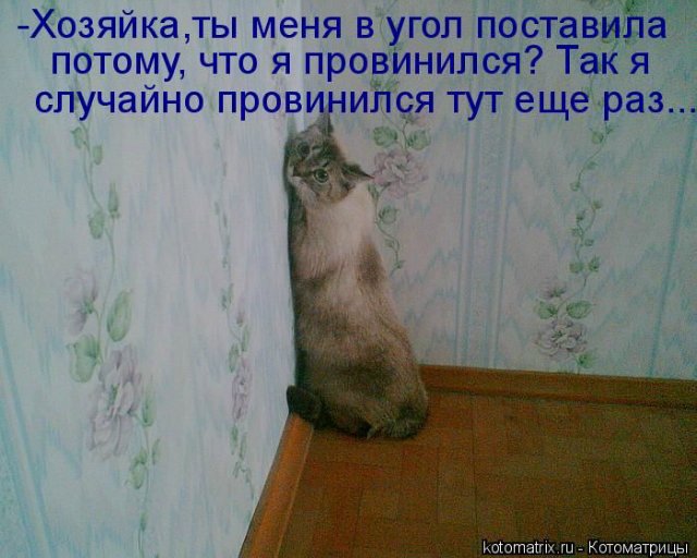 Море позитива) Для поднятия настроения (осторожно! много фото)))) | Бэйбики Море позитива) Для поднятия настроения (осторожно! много фото))))