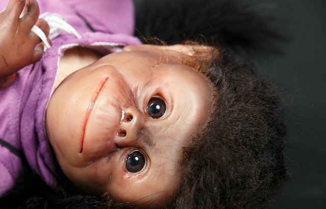 Часть 3. Обезьянка из страны Оз (фото 7)