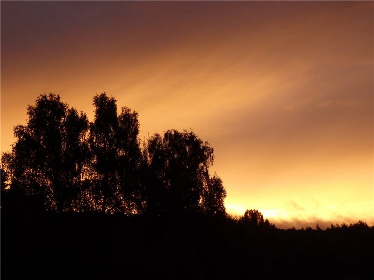 Лесная сказка или Варварка на Нугуше (фото 4)