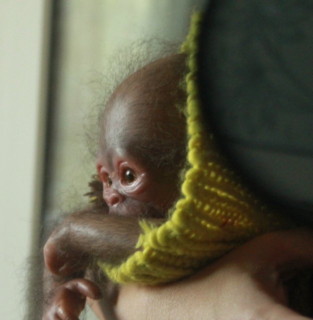 Обезьянка Bindi кукла реборн Элины Кудрявцевой