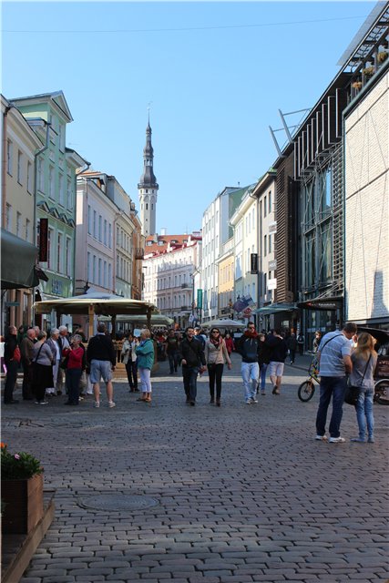 Средневековый Таллинн-город живой истории (фото 10)