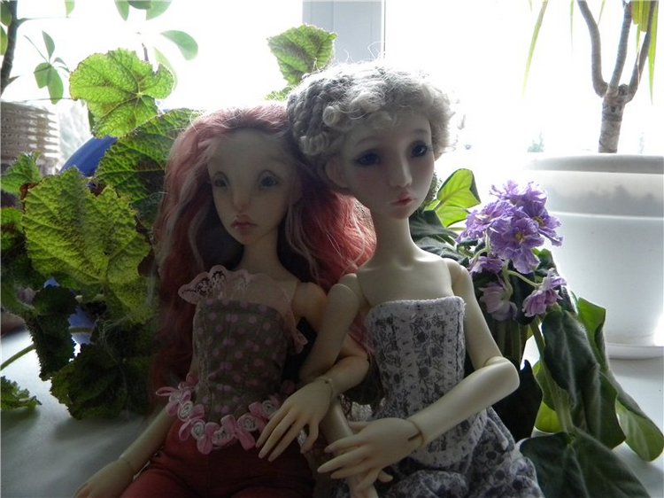 Теперь они вместе. Мои Лилликэтки Constantine и Ninon (фото 9)