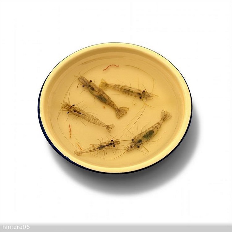 Живопись акрилом и лаком от Кенга Лая (Keng Lye)