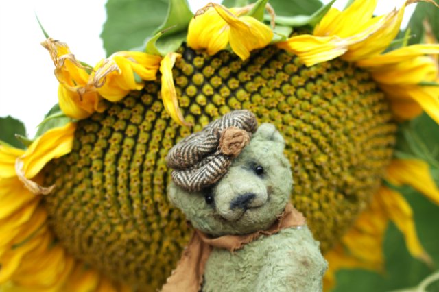 Деревенские медведи. Игрушки ручной работы