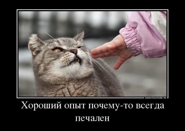 Просто добавь улыбку или пятничный девиз