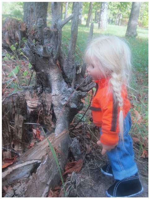 "Неприятный случай" или Ёжик, осень, грибочки. Wichtel, Rosemarie Anna Muller (фото 2)