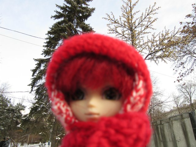 Чем бы заняться юному лорду 30 декабря (фото 6)