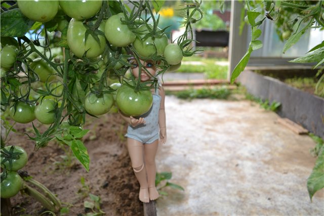 Элин от Iplehouse