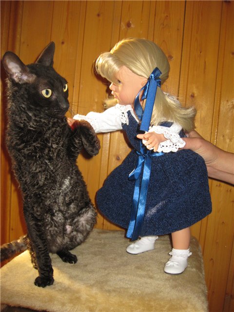 Золотая осень. Кукла Готц Симочка знакомится с Россией