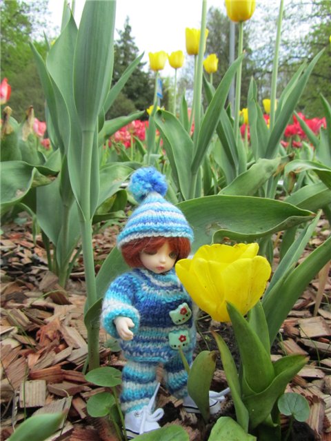 Весенний день... или как девочки ходили на пикник.№1 (фото 4)