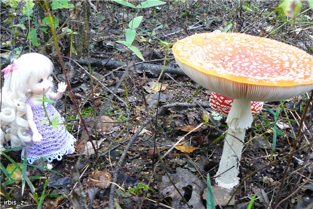 Осенняя сказка. Часть 1. (PukiFee Ante Ариэтти, PukiFee Bonnie Ариэль) | Бэйбики Осенняя сказка. Часть 1. (PukiFee Ante Ариэтти, PukiFee Bonnie Ариэль)