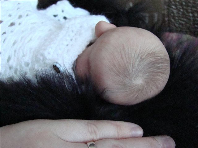 Маленькая Снежинка и помпушка Рози. Авторские куклы Кондрашовой Ирины (фото 7)