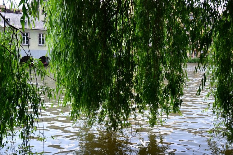 Очарование стринных французских городов