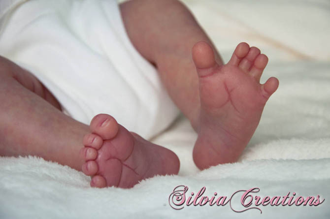 Новый молд Will от Натали Шолль