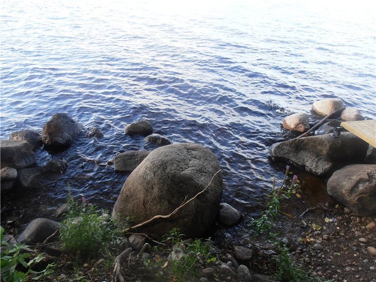 Любителям природы и походов за грибами