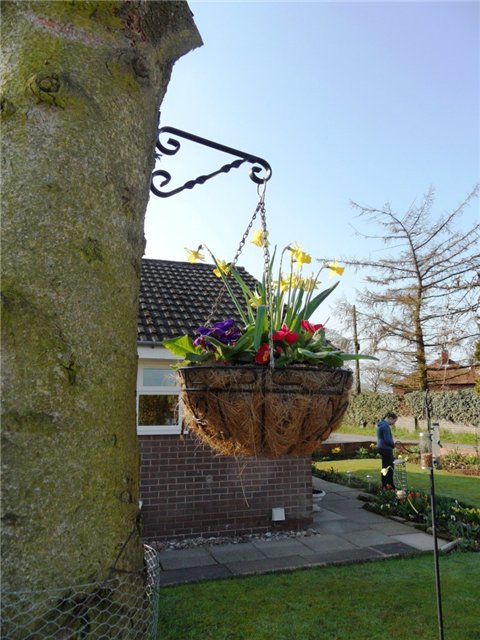 Люблю тебя, английская деревня (фото 3)