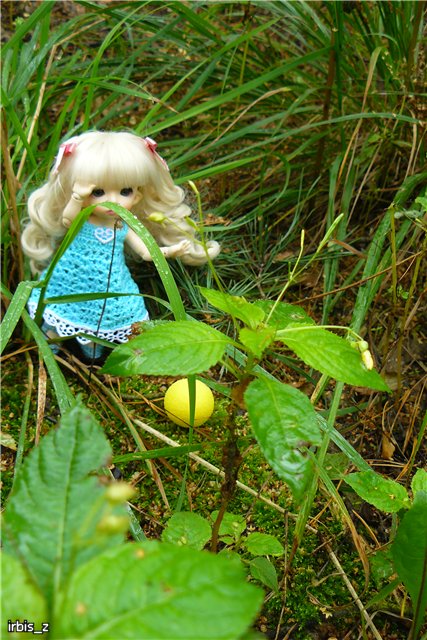 Осенняя сказка. Часть 2. (PukiFee Ante Ариэтти, PukiFee Bonnie Ариэль) | Бэйбики Осенняя сказка. Часть 2. (PukiFee Ante Ариэтти, PukiFee Bonnie Ариэль)