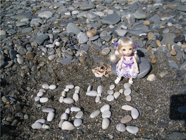 Летний отдых на море БЖДешечки Элис (фото 4)