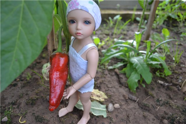 Один день из жизни Евочки на даче. Элин от Iplehouse (фото 4)