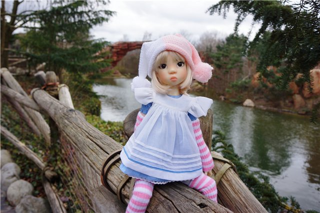 Это был удивительный день! Miki от Kaye Wiggs в Диснейленде (фото 10)