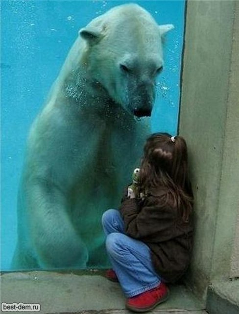 Не просто фото | Бэйбики Не просто фото — Болталка и разговоры обо всем: жизнь