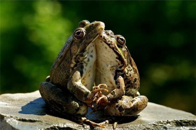 Игры, которые мы выбираем. Где грань между игрой и реальностью? Как построить Воздушный Замок на размытом песке | Бэйбики Игры, которые мы выбираем. Где грань между игрой и реальностью? Как построить Воздушный Замок на размытом песке