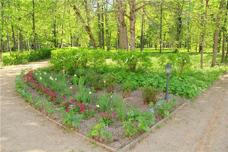 Субботний вояж. Заключительная часть