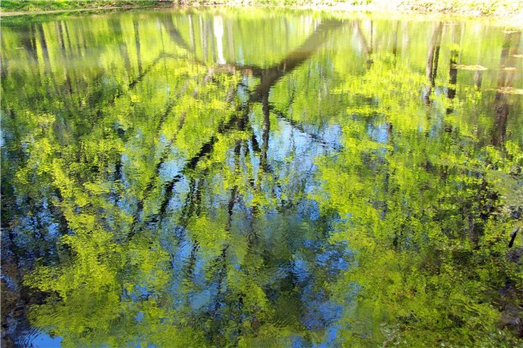 Субботний вояж. Часть вторая | Бэйбики Субботний вояж. Часть вторая