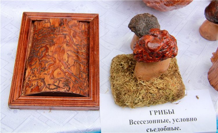 46-ой Пушкинский праздник поэзии в Берново. Часть вторая