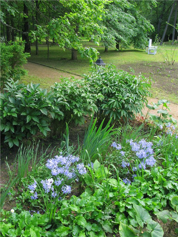 46-ой Пушкинский праздник поэзии в Берново. Часть первая