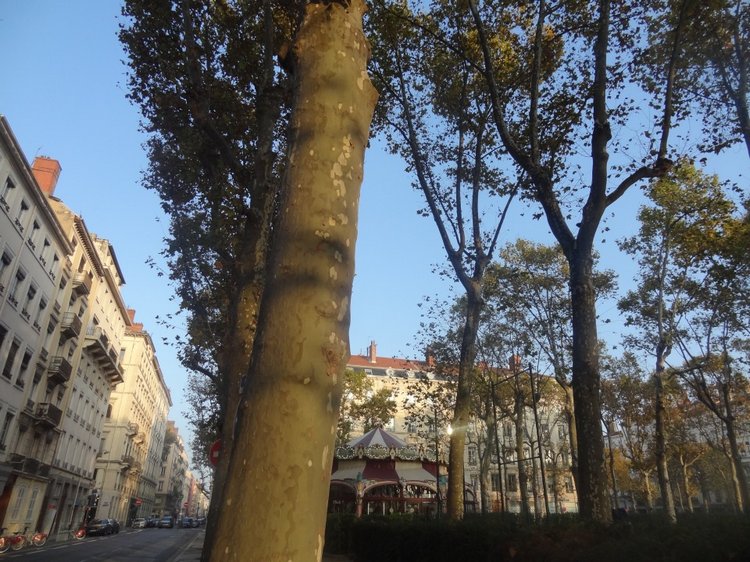 Немного о выставке в Лионе и мои новые шарнирные куклы. LDoll 2016