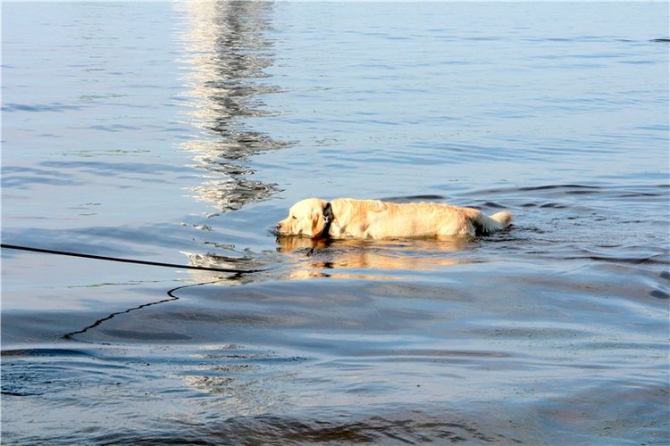 Русская Атлантида, заключительная часть. Калязин, Тверская область (фото 6)