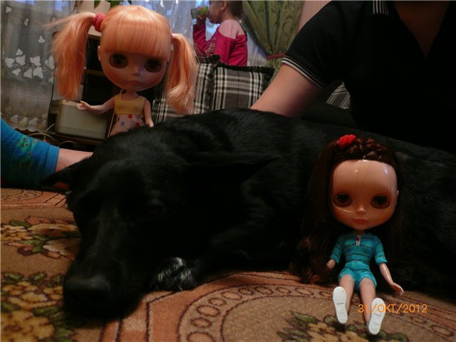 Хэллоуин. Вечеринка-ужастик