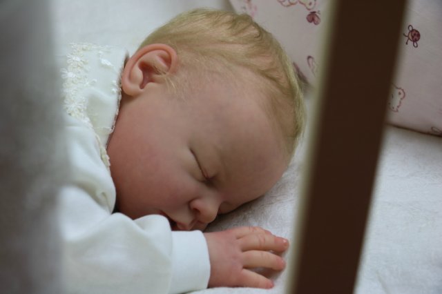 Ноашечка. Куколка реборн Виктории Вишни