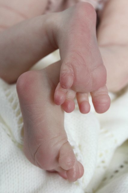 Виктория кукла-реборн Элины Кудрявцевой (фото 4)