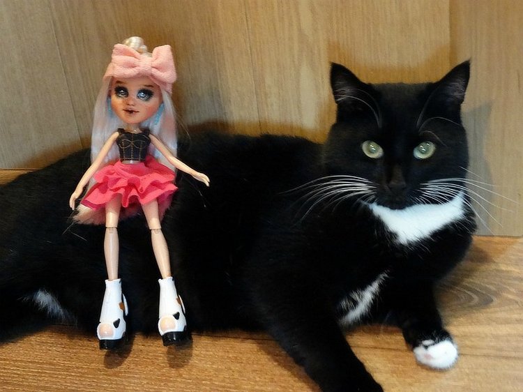 Мой цветочек, ещё одна перерисованная Братц (фото 3)