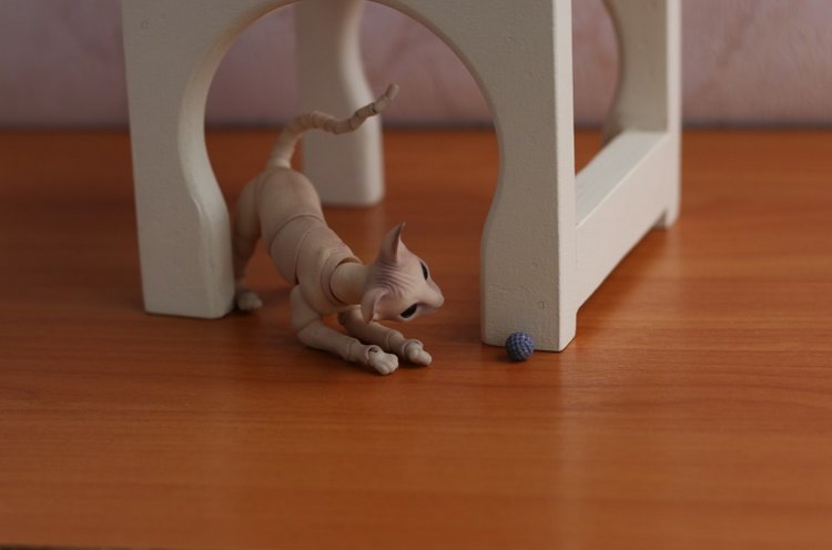 Кот играет с мячиком — Разные куклы BJD (БЖД): редкие бренды