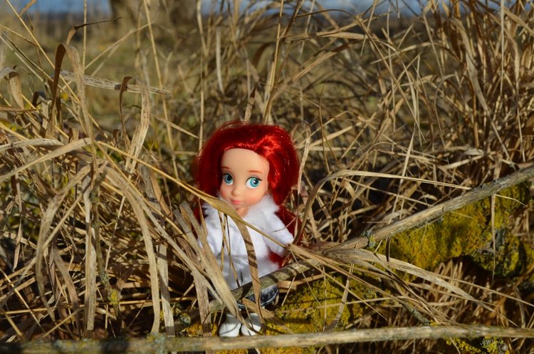 Мини дисней аниматорс - Ариэль на прогулке (фото 2)