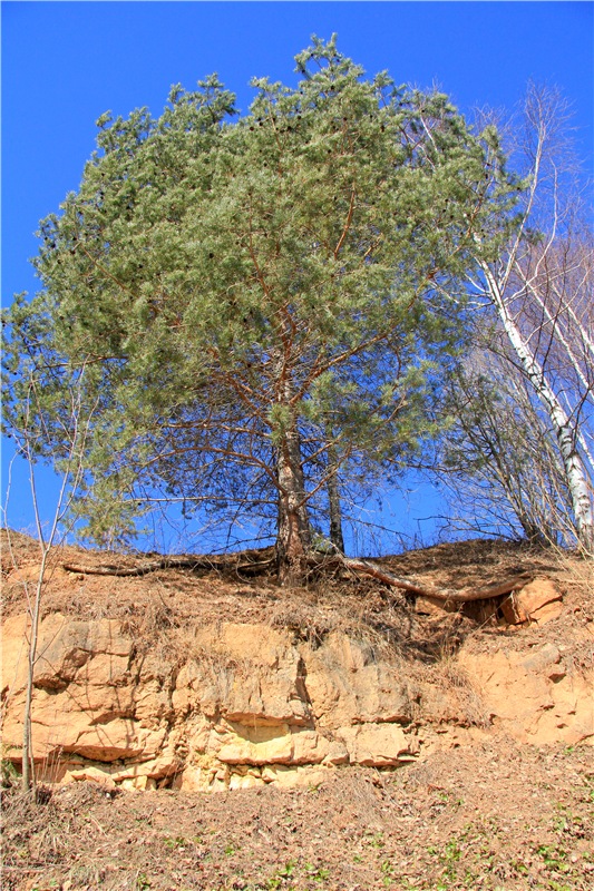 Приключения Адель на водопаде. Джульетта от Sylvia Natterer