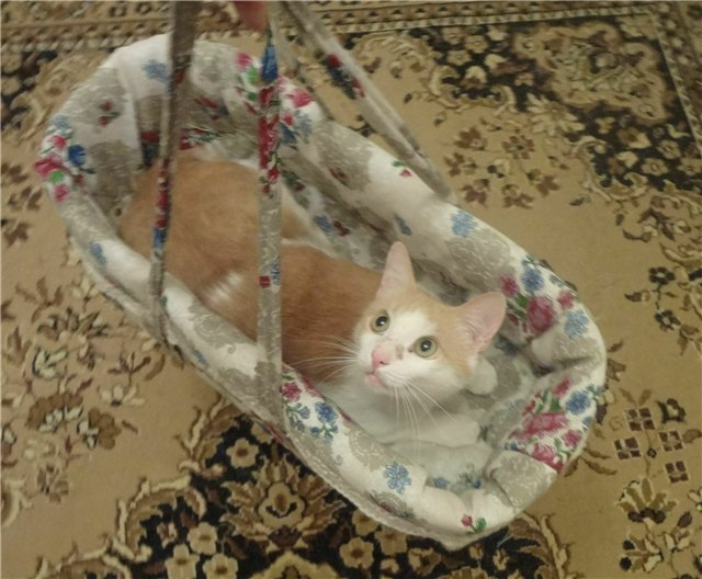 Обновки для кукляшек | Бэйбики Обновки для кукляшек — Одежда и обувь для кукол своими руками: фото